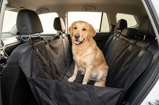 Best Dog Car Hammock & Seat Covers for 2026 (Buyer's Guide)