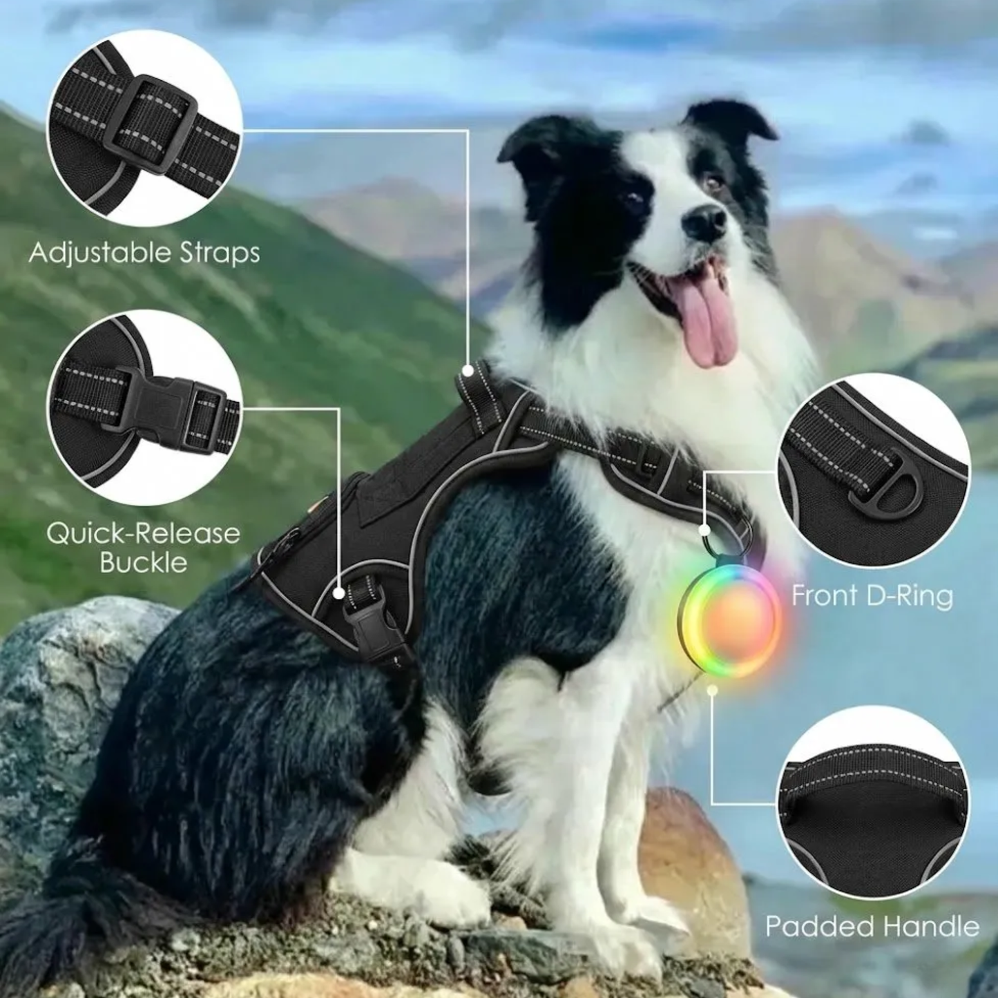 WoofPick no-pull dog harness multiple angles showing buckles padding and leash attachment