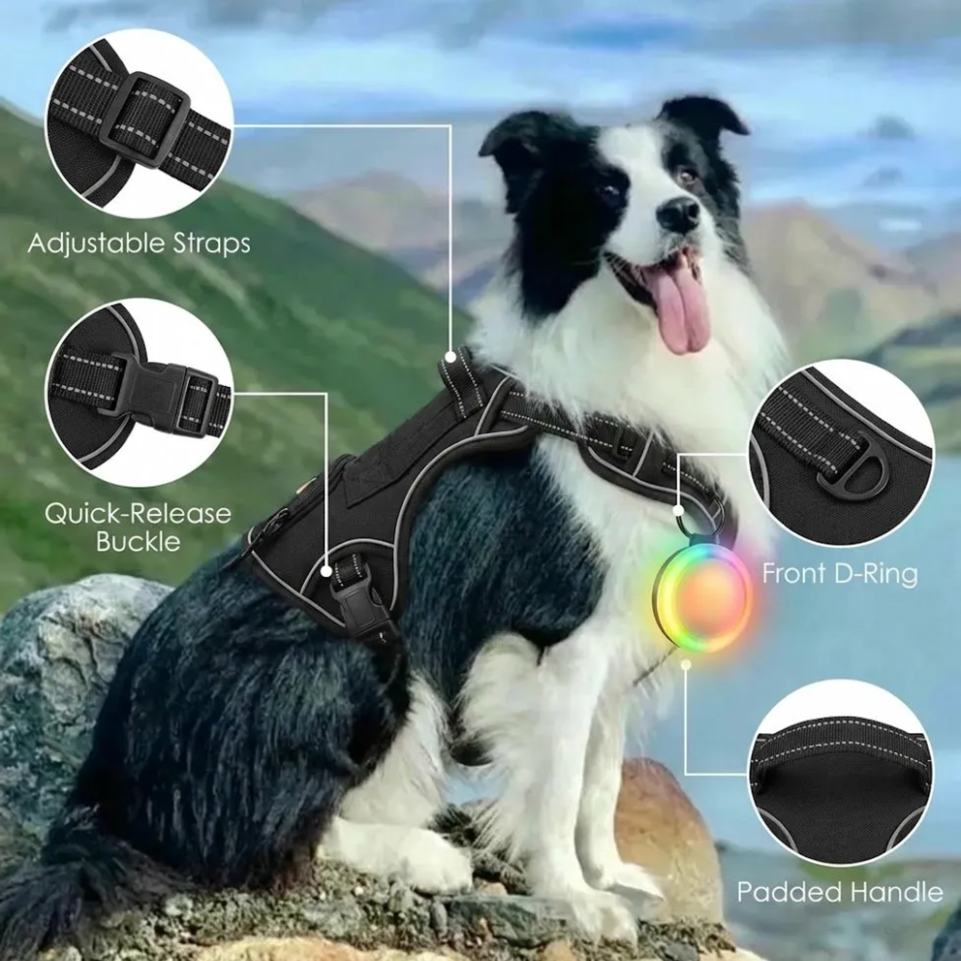 WoofPick no-pull dog harness multiple angles showing buckles padding and leash attachment